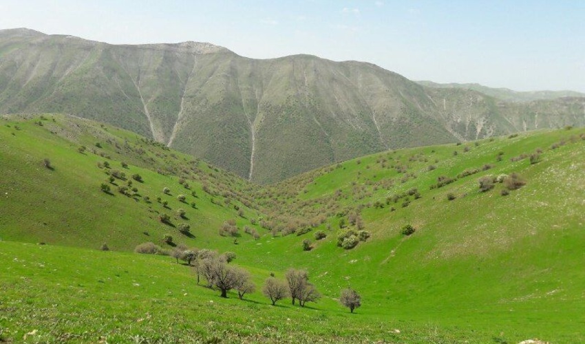 بیش از 314 هزار هکتار از مراتع کهگیلویه و بویراحمد به بهره‌برداران واگذار شد