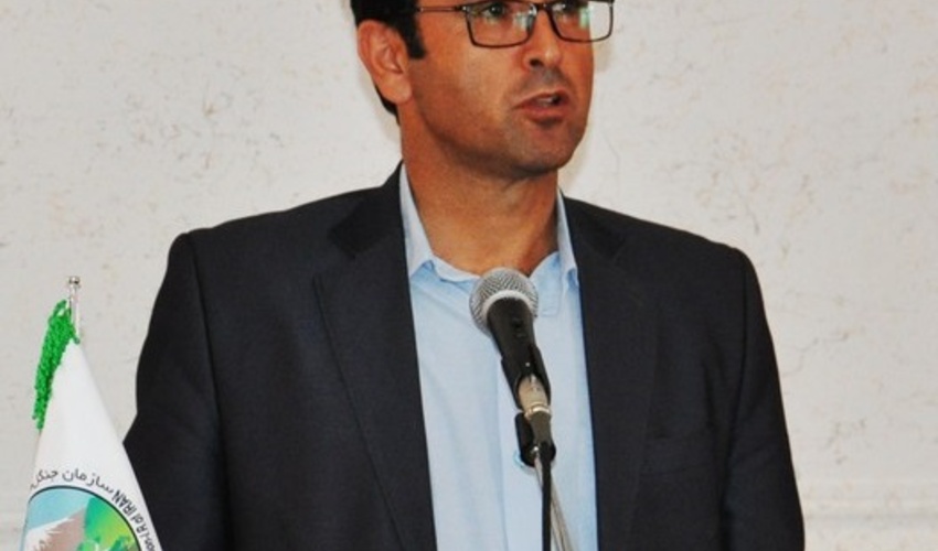 فعالیت 7 نهالستان در اداره کل منابع طبیعی و آبخیزداری مازندران-ساری