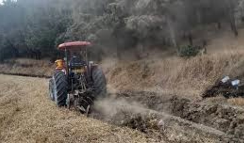 ایجاد سالانه 100 هکتار «آتش بُر» در مراتع استان همدان