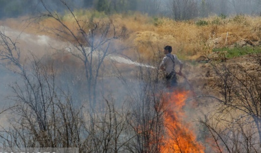 علت ۹۰ درصد آتش‌سوزی‌ها در استان سمنان انسانی است