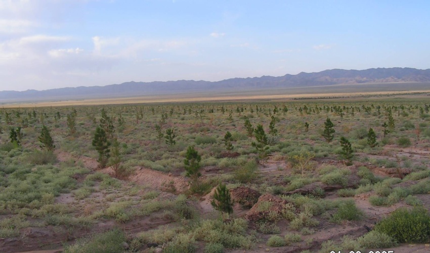 پیگیری 63 پرونده زمین خواری در خراسان جنوبی