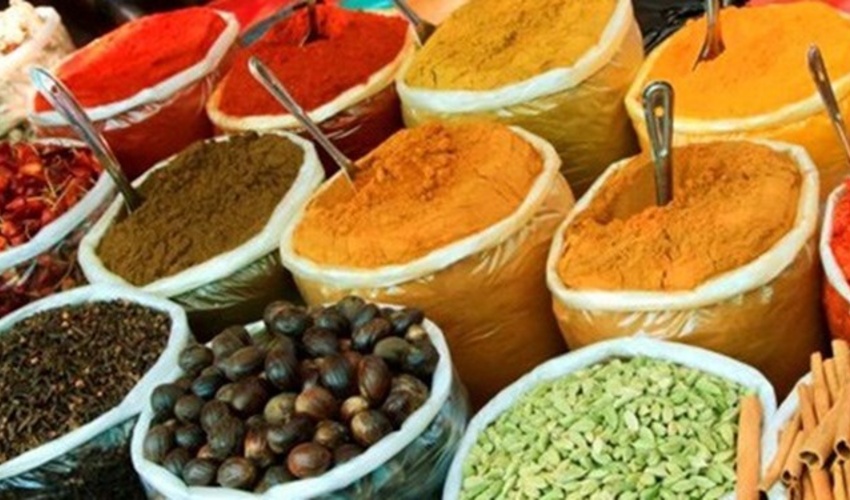 ایران، پیشکسوت طب سنتی در دنیا/ گیاهان دارویی هم عوارض دارند