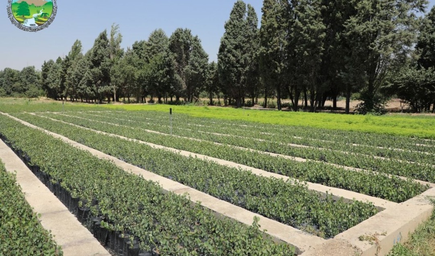 قرارداد طرح های منابع طبیعی سفر رییس جمهور به البرز اجرایی شد