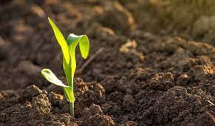 بیش از 90 درصد مواد غذایی ما از خاک تامین می شود
