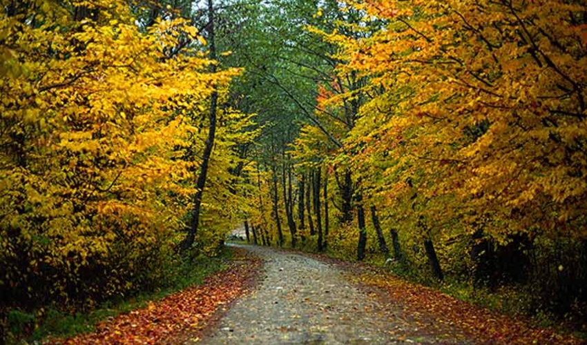 مهر دیدی که به برهم زدن چشم گذشت ؟!