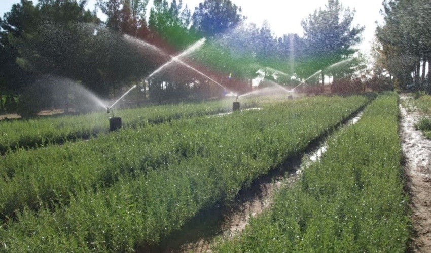 برتری فعالیت های بیابان زدایی شهرستان گناباد در خراسان رضوی