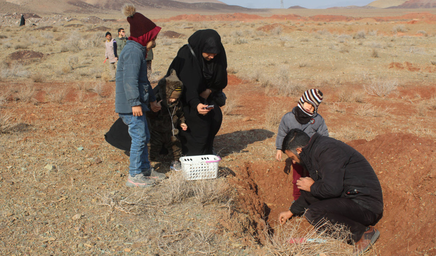 پویش نذرسبز مادری در قم اجرا شد