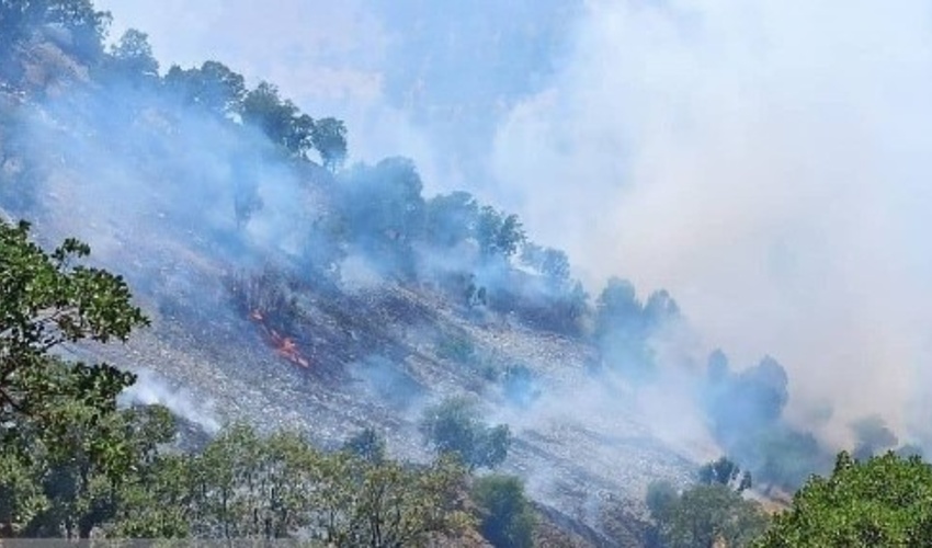 کاهش آتش سوزی مراتع و جنگل ها در آذربایجان غربی