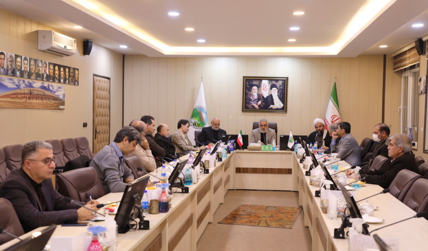 برای برون رفت از چالش های زیست محیطی نیازمند تقویت پوشش گیاهی هستیم