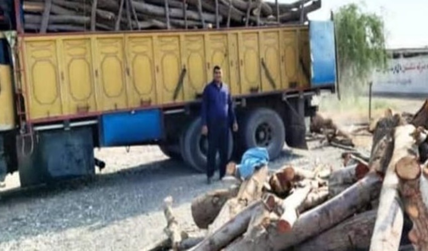 سمنان/ انهدام باند چوب‌های قاچاق در شهرستان شاهرود