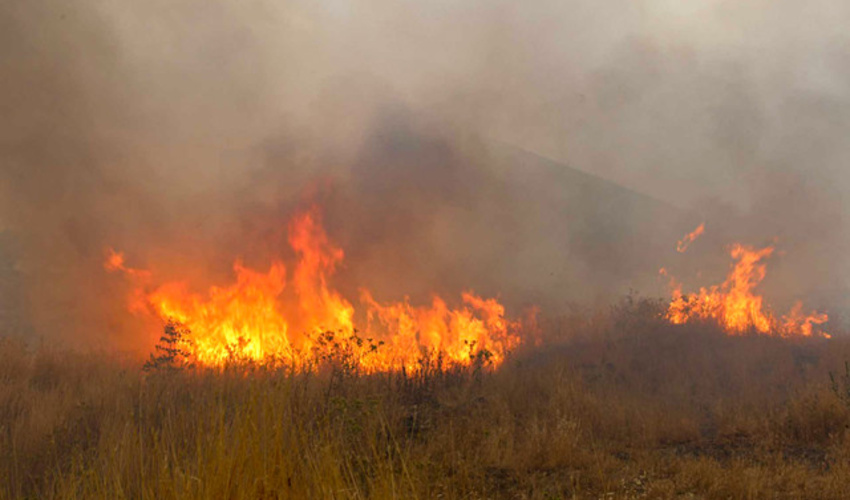 کاهش 70 درصدی حریق جنگل‌ها و مراتع لرستان