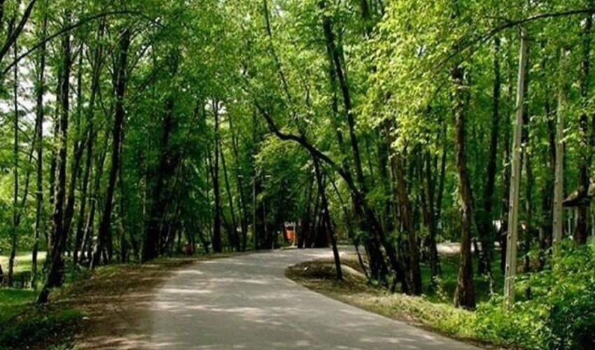 بوشهر/ مدیریت پارک‌های جنگلی استان بوشهر به بخش خصوصی واگذار می‌شود