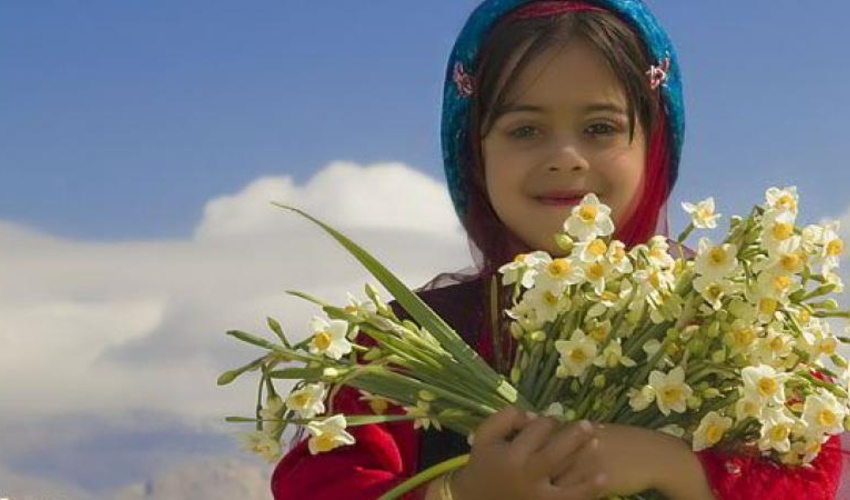 همه در بهار می رویند اما تو در زمستان! 