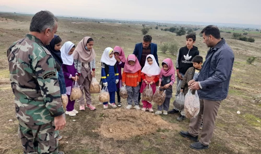 بوشهر/ اجرای برنامه مشارکتی بذرکاری در پروژه چاله فلسی روستای جره سعدآباد دشتستان