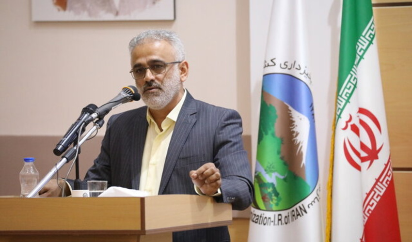 رئیس سازمان منابع طبیعی:37 نفر  تاکنون جان خود را برای حفظ جنگل ها و مراتع از دست داده اند
