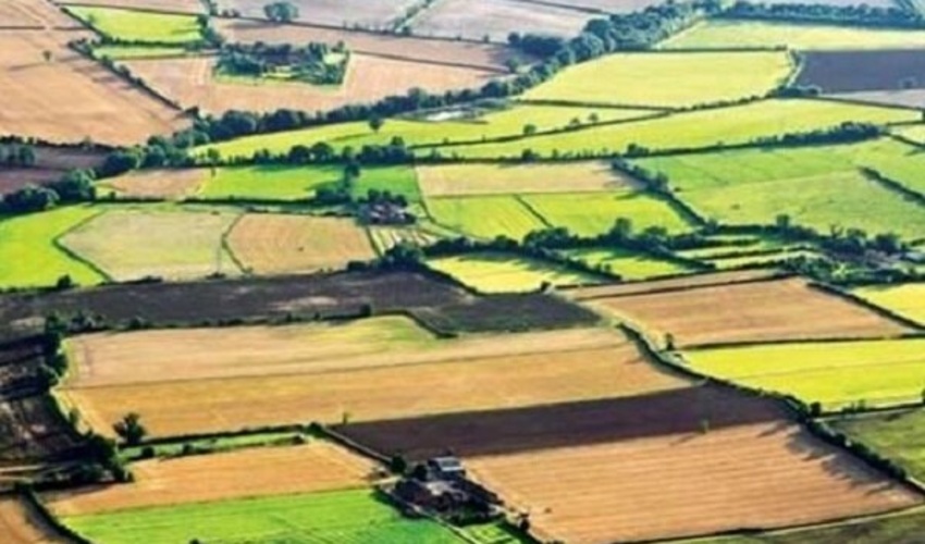 پنجره واحد مدیریت زمین؛ سامانه‌ای ضد رانت و فساد برای شفافیت وضعیت اراضی