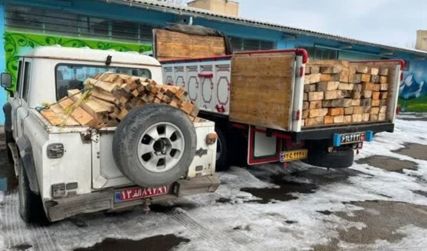 کشف 140 اصله الوار قاچاق جنگلی در اردبیل
