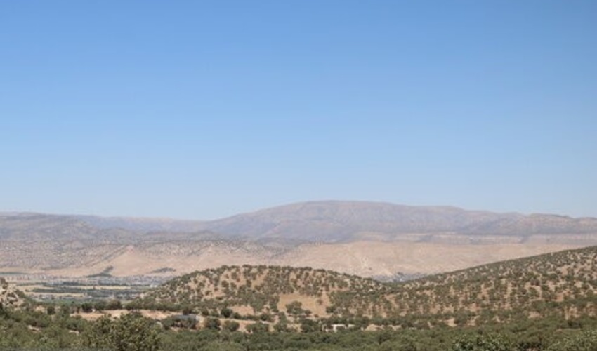 شناسایی 63 گونه جنگلی در چهارمحال و بختیاری 