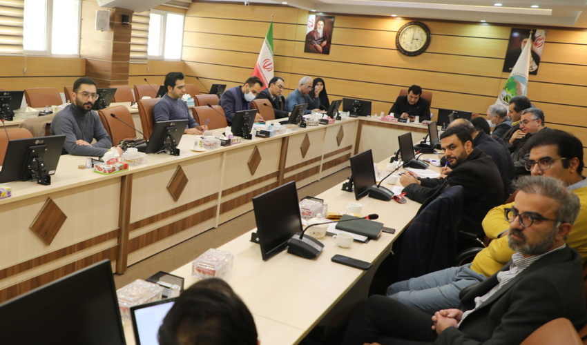 شرکت‌های دانش‌بنیان در کاشت درخت به کمک  منابع طبیعی می آیند