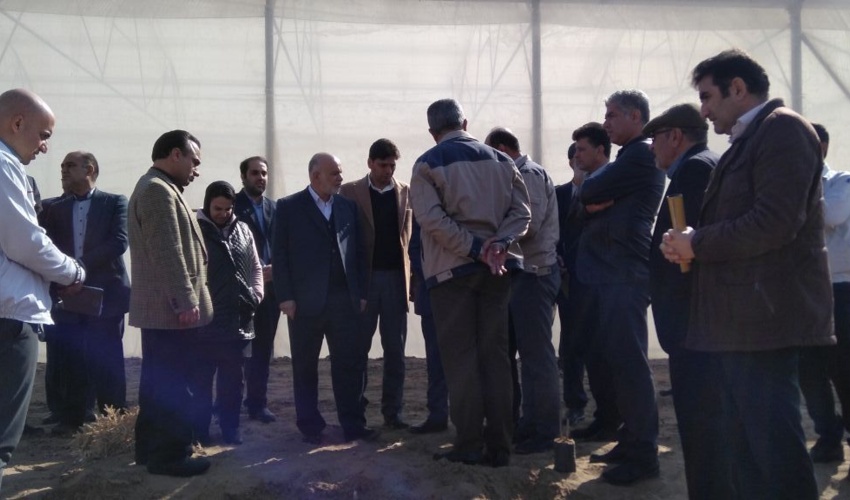  سالانه ۷ میلیون اصله نهال در اصفهان کشت می شود