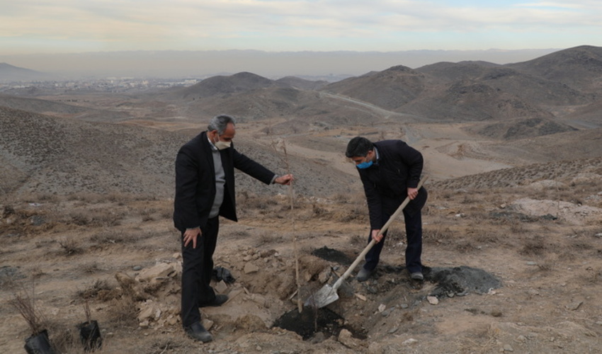 سمنان/طرح کنترل هرزآب در ۳۰۰ هکتار از بیابان‌های گرمسار اجرا شد