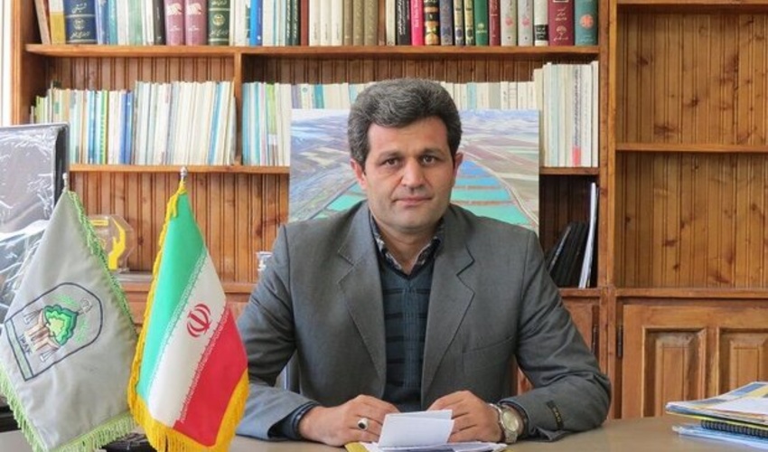 سالانه 3 میلیون اصله نهال در کردستان کاشته می شود