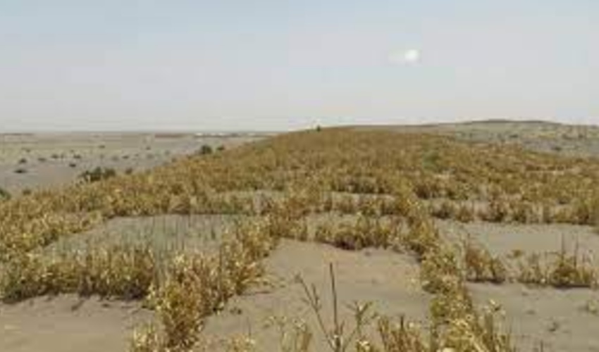 افتتاح پروژه بادشکن غیر زنده در آران و بیدگل 