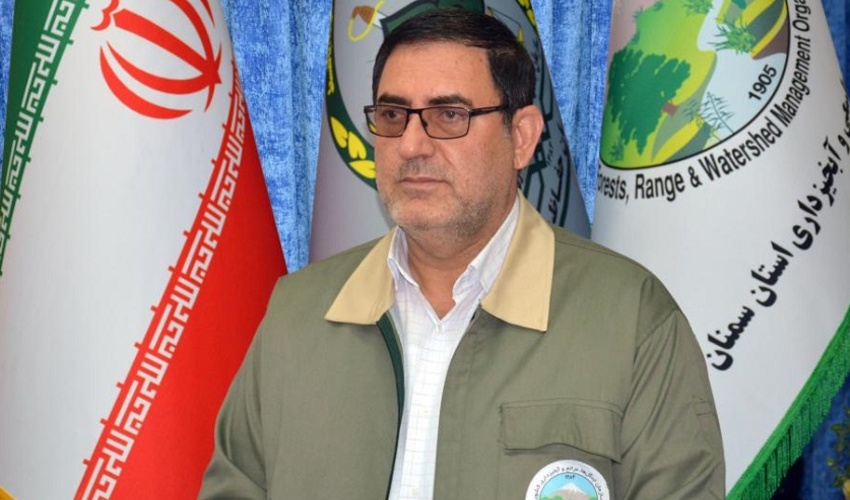 سمنان/ توزیع 900 هزار اصله نهال در استان سمنان در هفته منابع طبیعی 