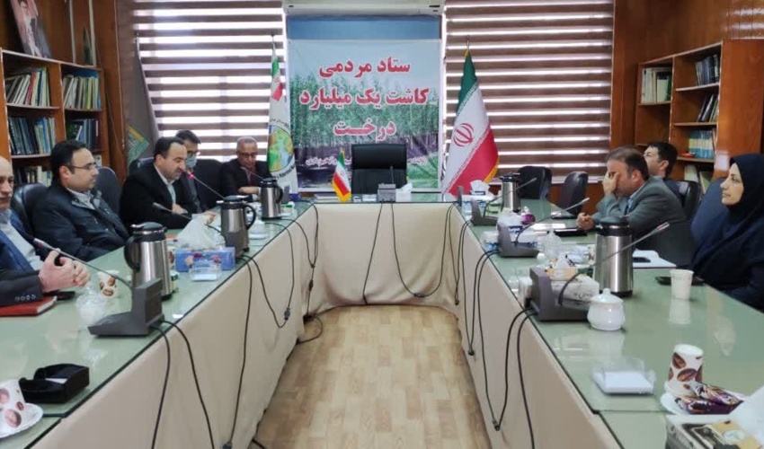 تولید 3 میلیون اصله نهال از ابتدای سال تا کنون در نهالستان های ساری