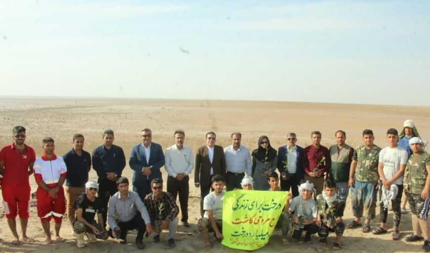 بوشهر /کاشت نهال حرا در سواحل زیبای بخش دلوار