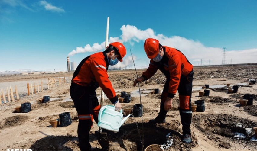 1.5 میلیون اصله نهال در مبارکه کشت می‌شود