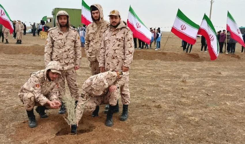 کاشت ۴ هزار نهال در اخترآباد شهرستان ملارد