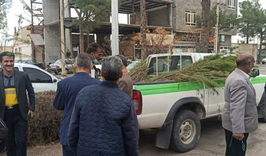 سایه پیرترین سرو آسیا بر برنامه "دار دو"