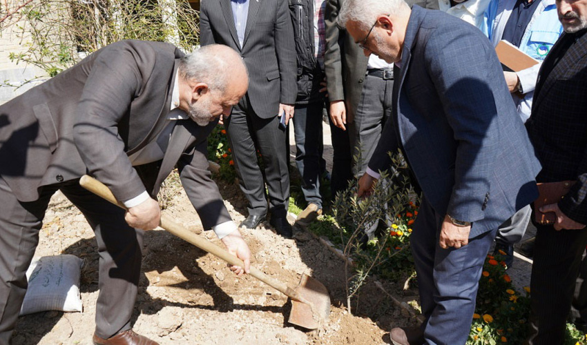 وزیر کشور درخت کاشت 