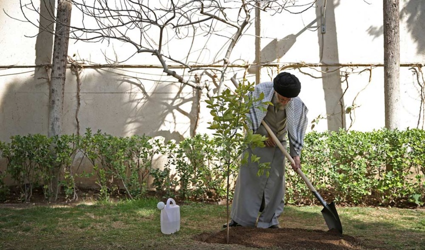 مقام معظم رهبری: هر ایرانی سه درخت بکارد، کاشت یک میلیارد نهال در چهار سال محقق می‌شود