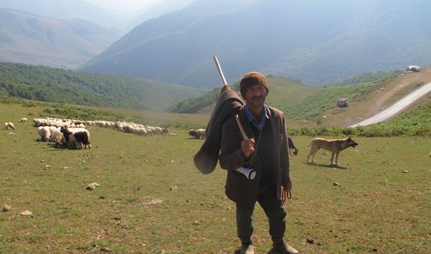 رییس سازمان منابع طبیعی دستورالعمل احداث سرپناه در مراتع را ابلاغ کرد  