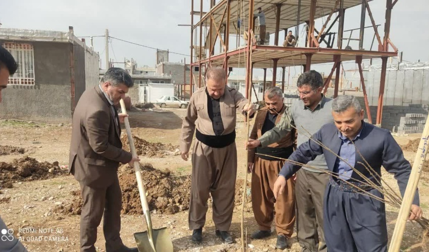 کاشت سه اصله نهال زیتون به یاد سه هزار شهید استان توسط استاندار ایلام