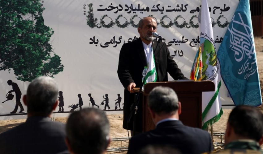 قم/عملیات کاشت نهال در 20 هکتار از اراضی مسجد مقدس جمکران آغاز شد