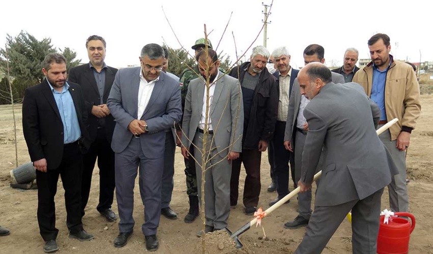 زنجان/درختکاری و حفاظت از درختان نیاز به فرهنگ سازی عمومی دارد