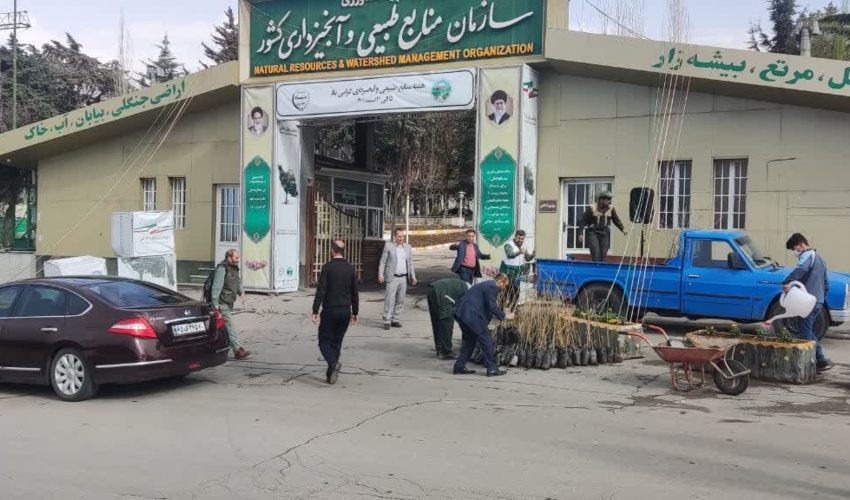 توزیع نهال رایگان و شیرینی به مناسبت ولادت حضرت قائم (عج)