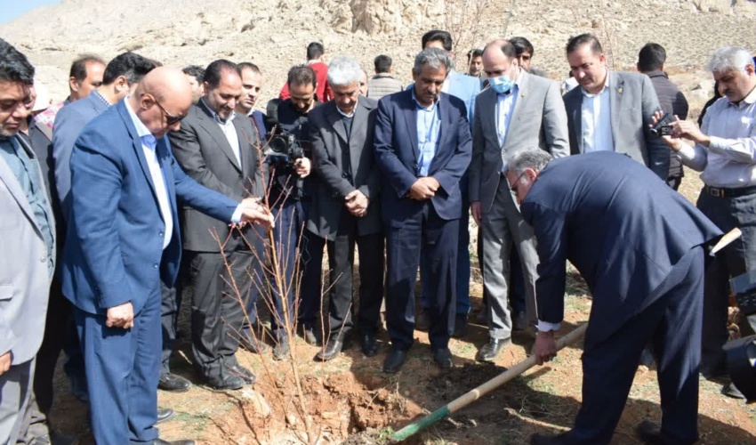 کرمانشاه/ باید درختکاری را به یک فرهنگ تبدیل کنیم