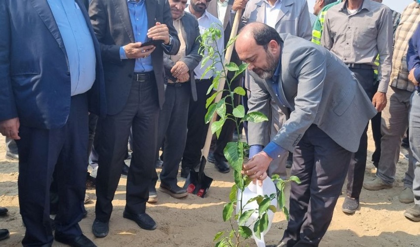 کاشت ۱۵۰ هزار اصله نهال در هفته درختکاری در سراسر استان هرمزگان