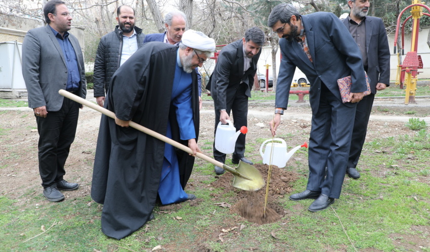 درختکاری فرزندان شهدا به نیابت از شهدا