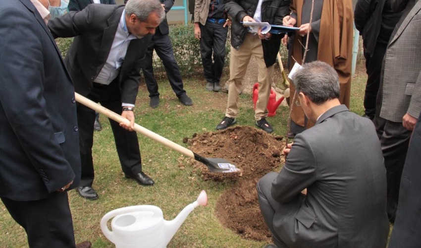 300 اصله نهال در سازمان مرکزی دانشگاه پیام نور کاشته شد