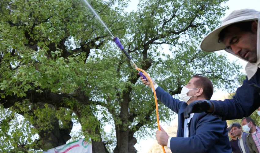 استاندار کهگیلویه و بویراحمد همه استانداران مناطق زاگرس نشین را به یاری طلبید