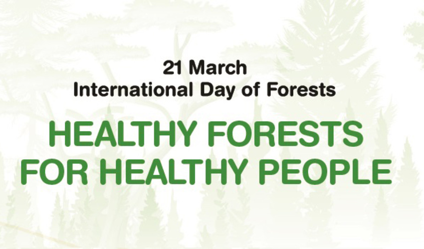 به مناسبت اول فروردین، روز جهانی جنگل