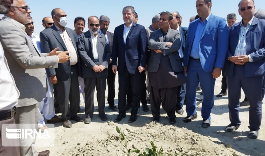 پایان نهالکاری در کانون بحرانی فرسایش بادی چابهار با حضور وزیر جهاد کشاورزی