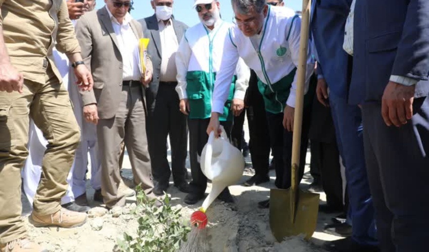 سهم ۱۴ میلیونی سیستان و بلوچستان در "ایران سرسبز؛ ایران قوی