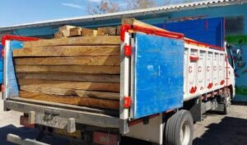 کشف بیش از 180 اصله الوار قاچاق جنگلی در استان اردبیل