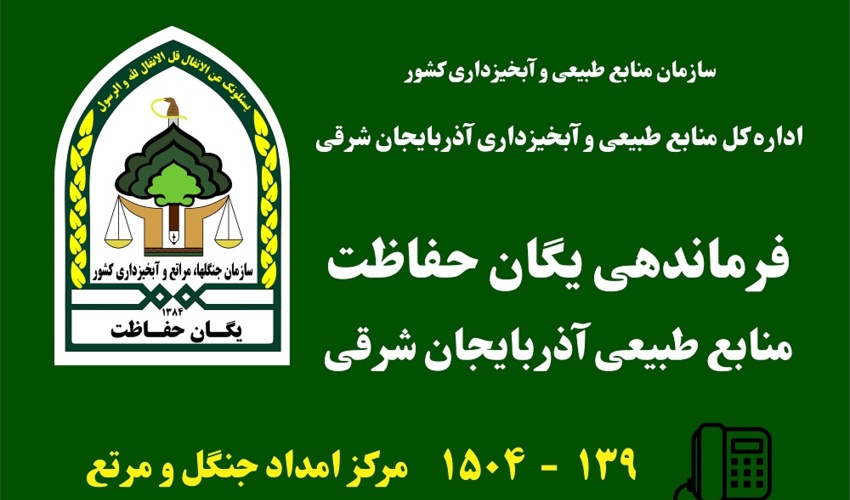 آذربایجان شرقی/کشف و ضبط 166 تن چوب قاچاق در طی سال گذشته